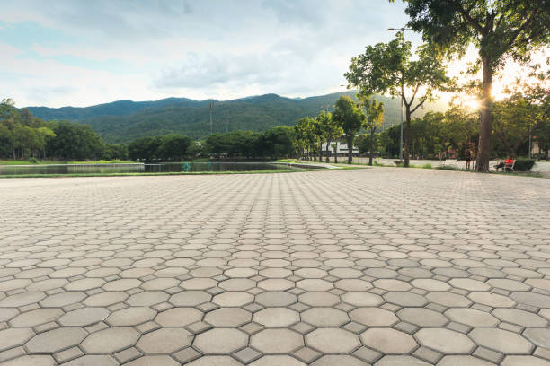 Best Interlocking Driveway Pavers  in Fort Defiance, AZ